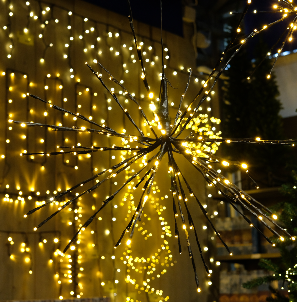 Kerstverlichting binnen | Tuincentrum Eurofleur