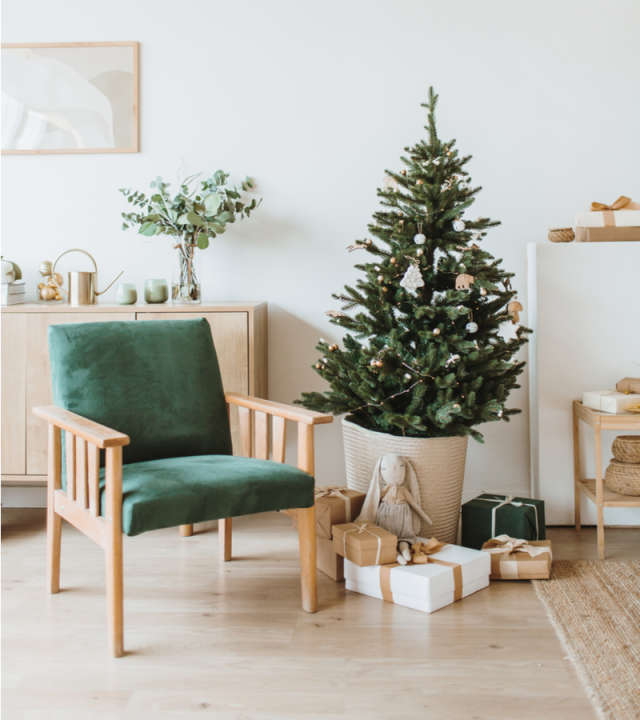 Doe mee succes niemand Echte kerstboom online kopen | Tuincentrum Eurofleur - Tuincentrum Eurofleur