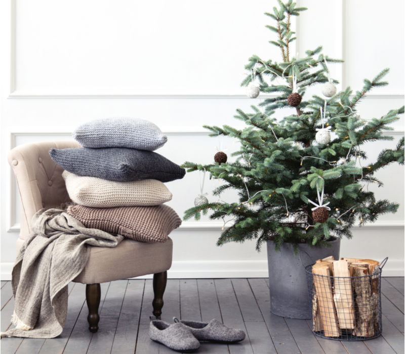 Echte kerstboom online kopen | Tuincentrum Eurofleur - Tuincentrum