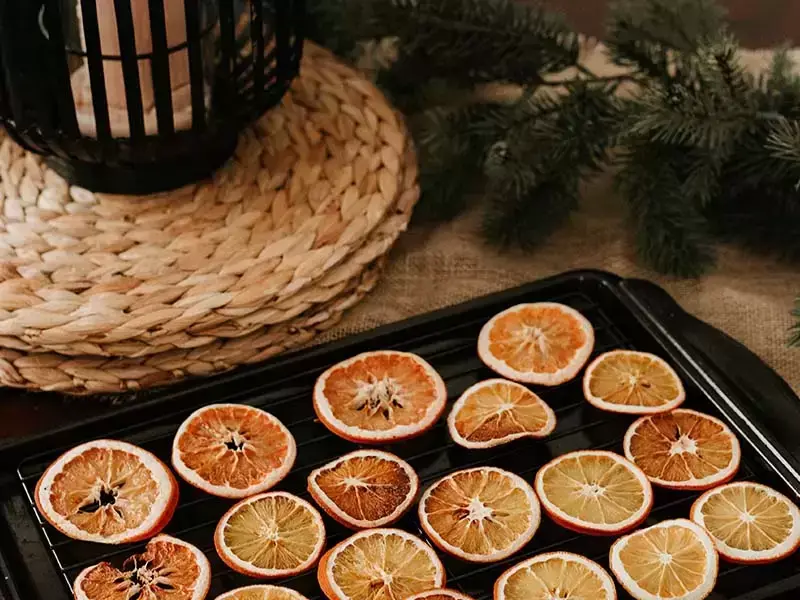 Portier Stadium Wig Droog sinaasappelschijfjes voor zelfgemaakte kerstdecoratie! - Tuincentrum  Eurofleur