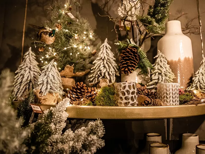 Parelachtig Interpersoonlijk Uitvoerbaar Kerst in huis halen zonder kerstboom: zo doe je dat! - Tuincentrum Eurofleur