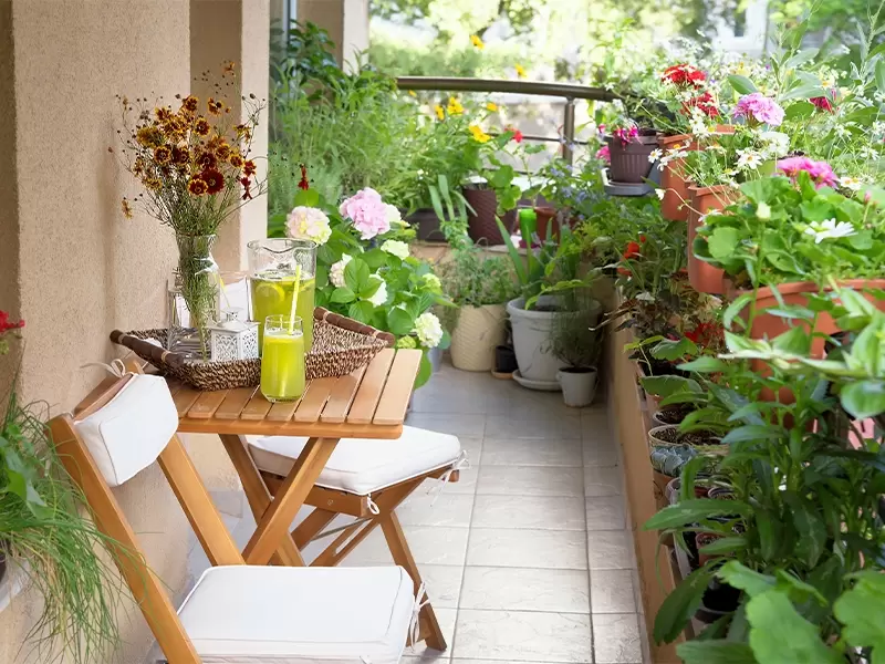 bom Karakteriseren Vast en zeker Kies de meest geschikte planten voor jouw balkon! - Tuincentrum Eurofleur