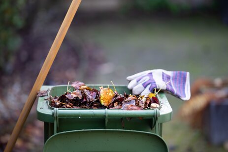 Maak Je Tuin Winterklaar! - Tuincentrum Eurofleur