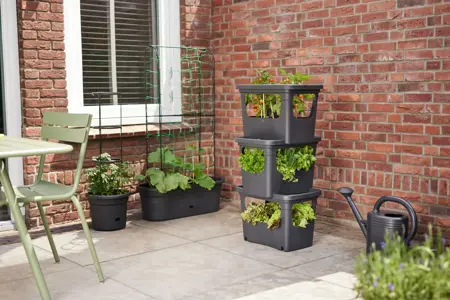 elho green basics stack & grow large - living black - afbeelding 2