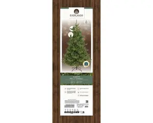 Everlands kunstkerstboom Alba fir LED - 240cm - afbeelding 2