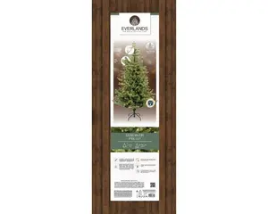 Everlands kunstkerstboom Geneva fir micro LED 360 lampjes - 180cm - afbeelding 2