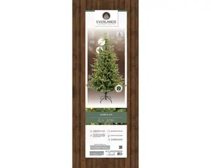 Everlands kunstkerstboom Geneva fir micro LED 660 lampjes - 240cm - afbeelding 2