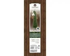 Everlands kunstkerstboom Pencil Pine LED - 240cm - afbeelding 2